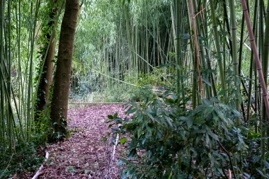 Parc de Bourran de Merignac (2).